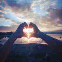 高​效​元‍标​签‌优﻿化‍系‍统​